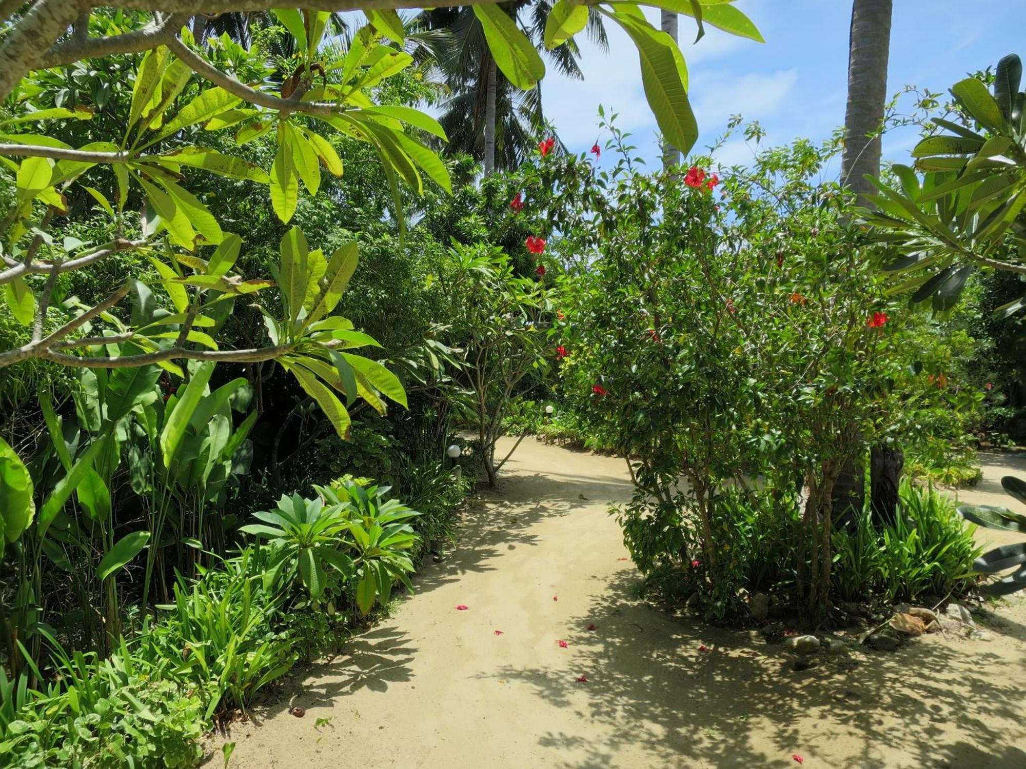 Seaflower Bungalows Srithanu Habitación foto